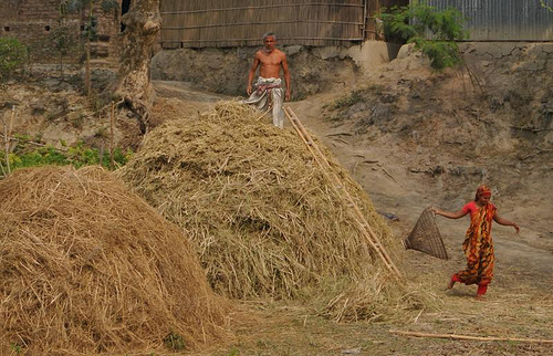 Why Mathematicians Can't Find the Hay in a Haystack